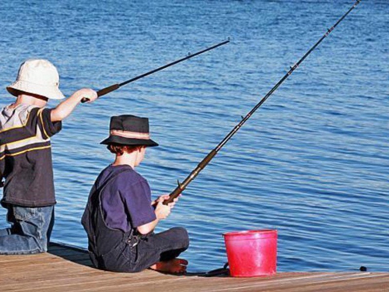 Nằm mơ thấy câu cá là tốt hay xấu? Mơ thấy câu cá nên đánh số nào?